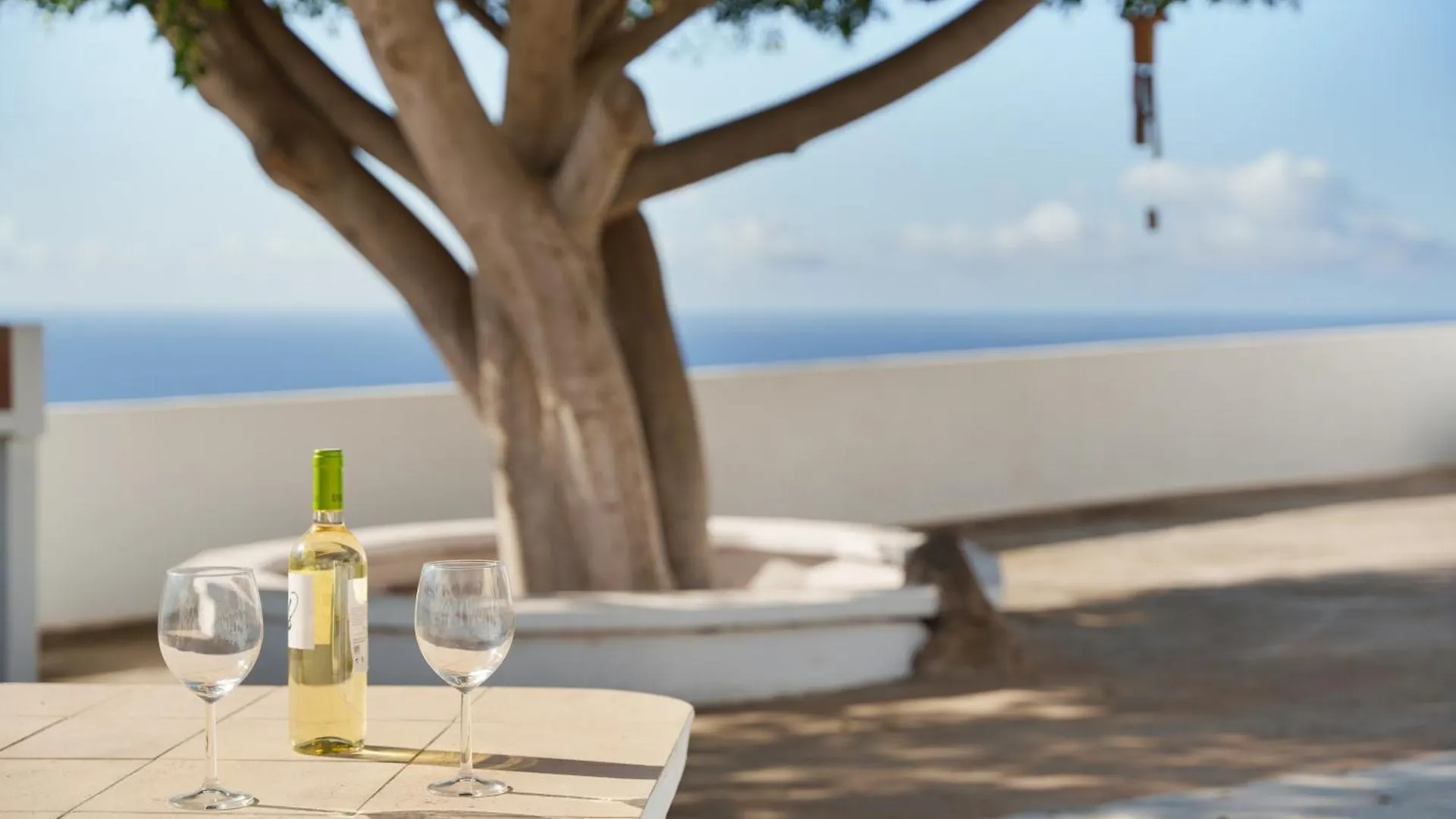 Finca Pisaverde Tacoronte Holiday home