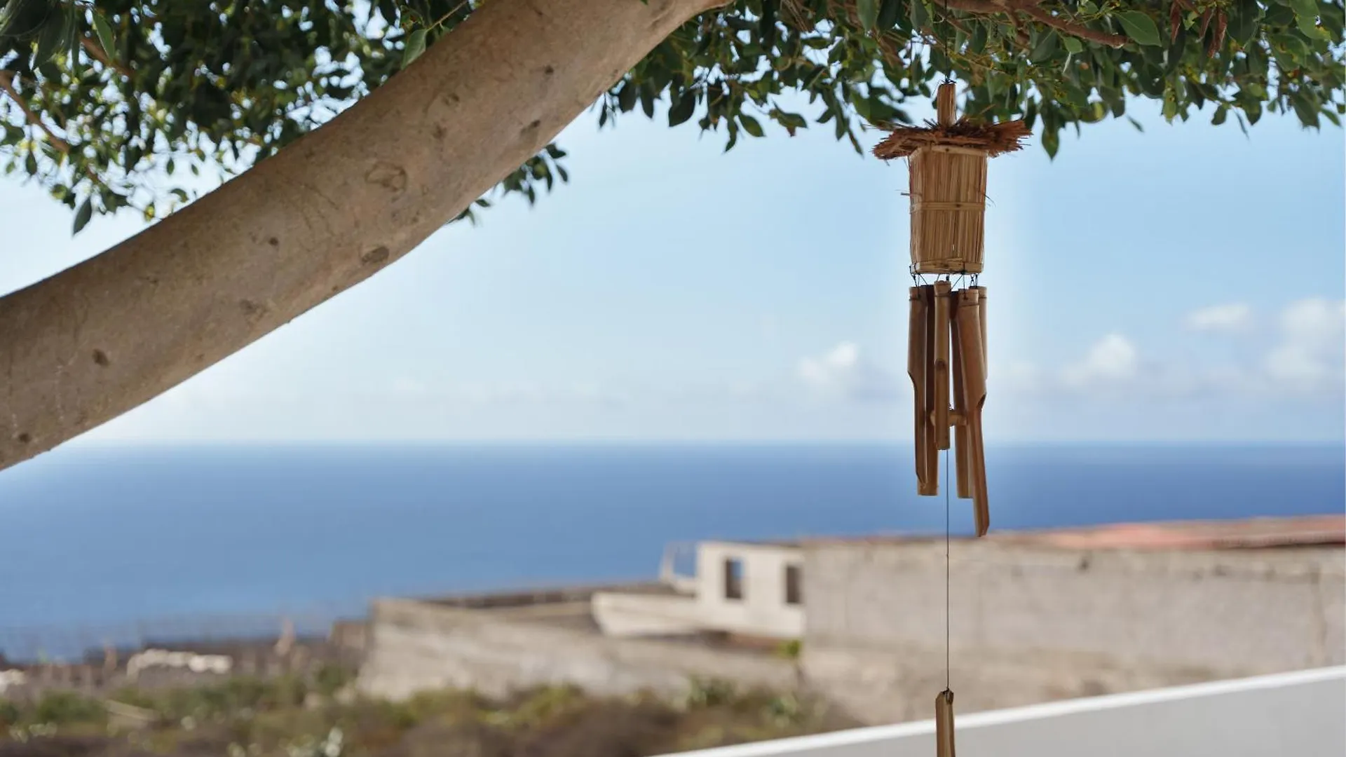 Holiday home Finca Pisaverde Tacoronte